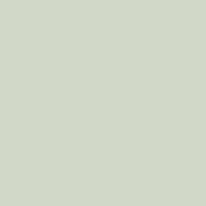 Pale Powder 204