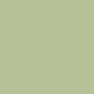 Cooking Apple Green 32