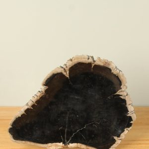 Fruitschaal – Zwart – Versteend hout – 24 cm