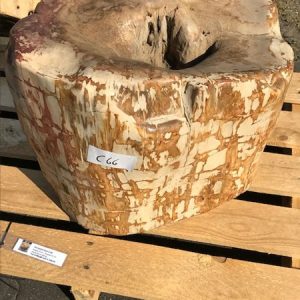 Versteend hout – Donkerbruin – Versteend hout – 37x61x34 cm