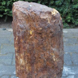 Versteend hout – Donkerbruin – Versteend hout – 48x30x18 cm