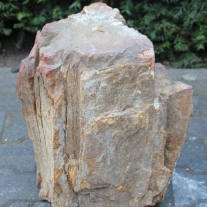 Versteend hout – Lichtbruin – Versteend hout – 43x36x28 cm
