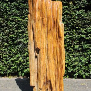 Versteinertes Holz – Versteinertes Holz – 101x35x22 cm