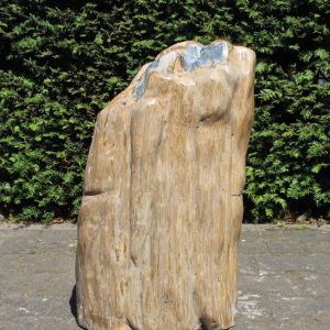 Versteinertes Holz – Versteinertes Holz – 58x36x19 cm