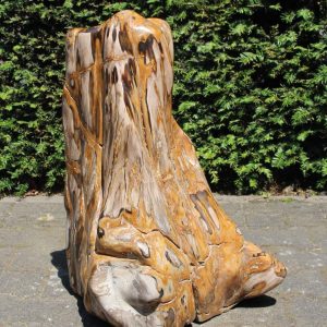 Versteinertes Holz – Versteinertes Holz – 59x43x43 cm