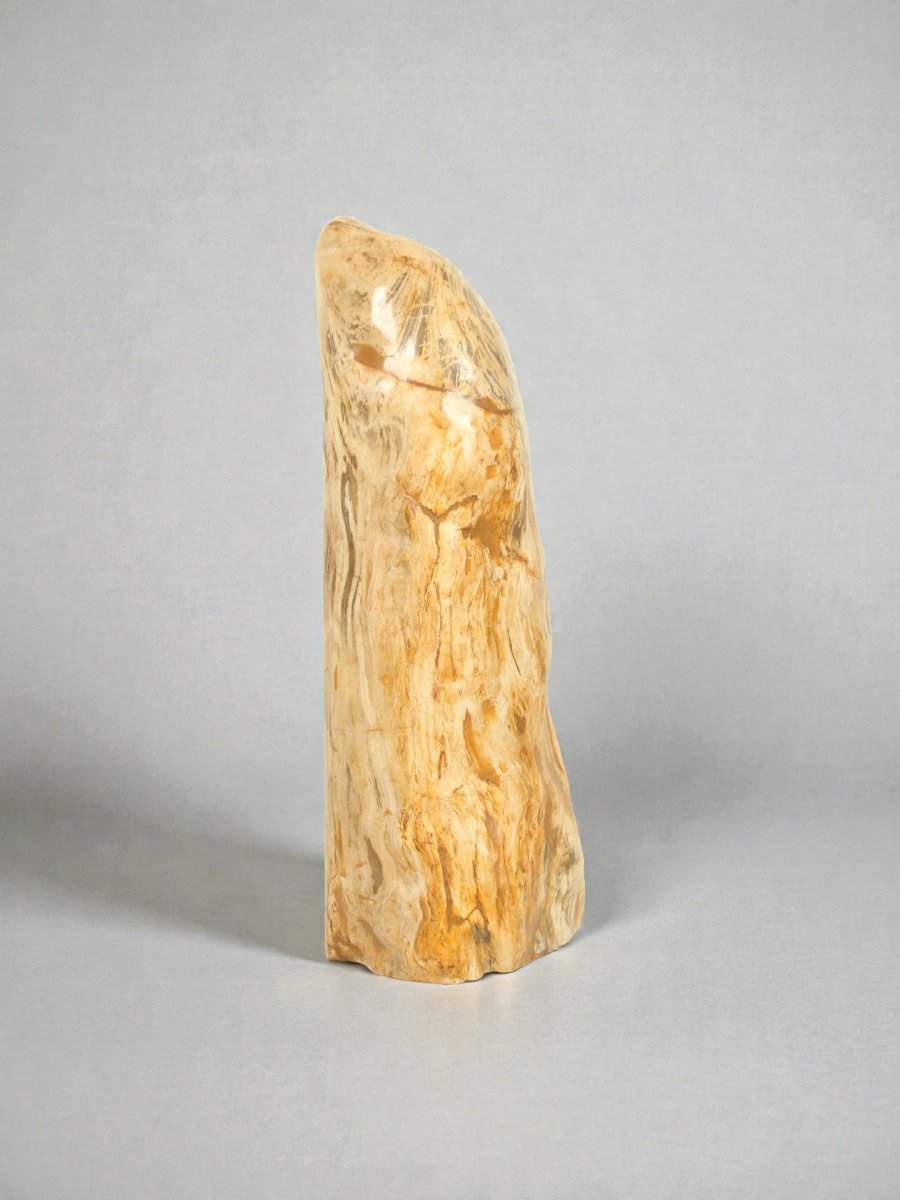 Versteend hout – Versteend hout – 90x35x30 cm - Afbeelding 3