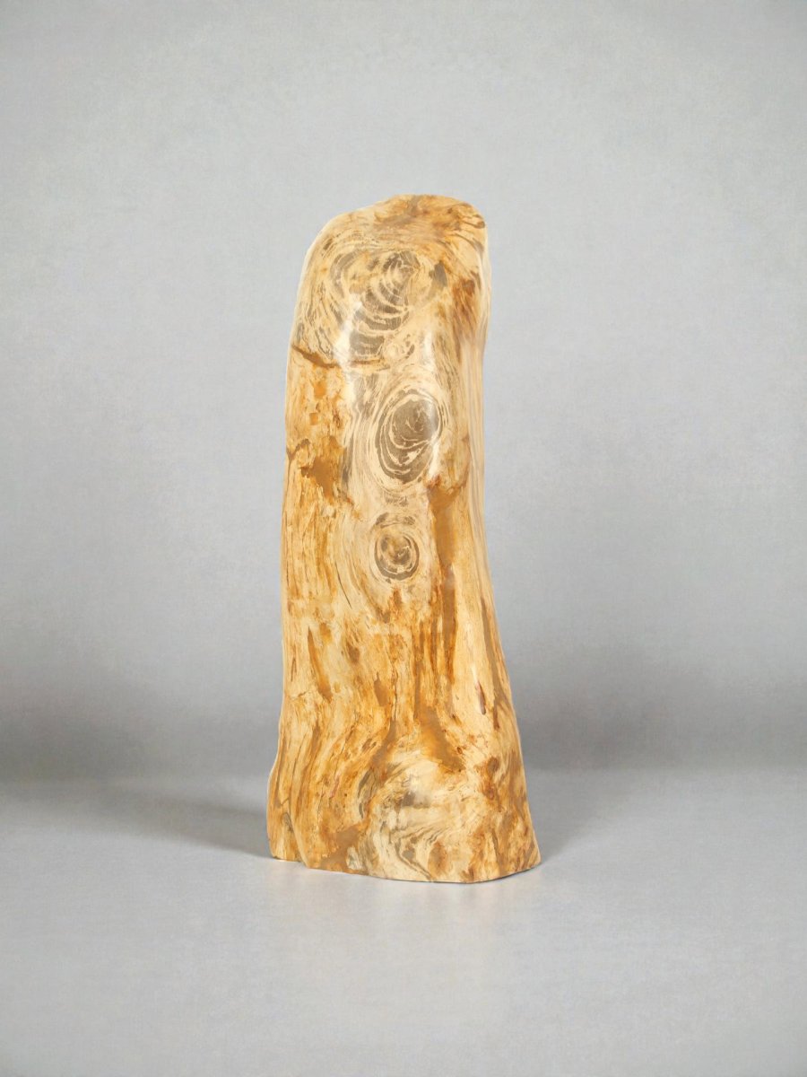 Versteend hout – Versteend hout – 90x35x30 cm - Afbeelding 4