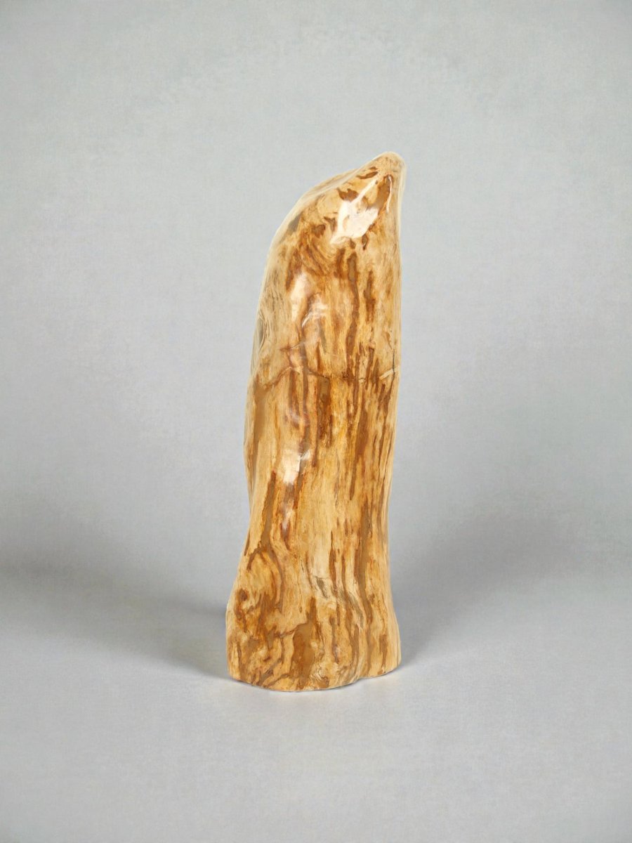 Versteend hout – Versteend hout – 90x35x30 cm - Afbeelding 5