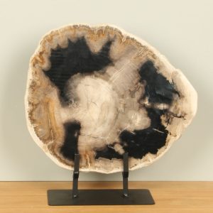 Versteend hout voor binnen – Versteend hout – Schijf op standaard nr. 28 – 34x33x3 cm