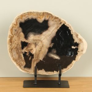 Versteend hout voor binnen – Versteend hout – Schijf op standaard nr. 30 – 34x35x3 cm